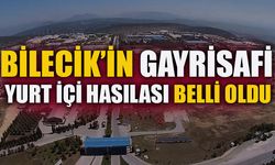 BİLECİK’İN GAYRİSAFİ YURT İÇİ HASILASI BELLİ OLDU