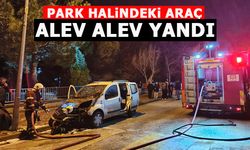 PARK HALİNDEKİ ARAÇ ALEV ALEV YANDI