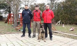 K-9 ARAMA KURTARMA KÖPEĞİ 'ADAM', TÜRKİYE'NİN EN GENÇ EĞİTMENİ İLE AFETLERE HAZIRLANIYOR