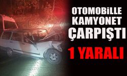 OTOMOBİLLE KAMYONET ÇARPIŞTI 1 YARALI