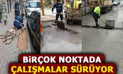 BİRÇOK NOKTADA ÇALIŞMALAR SÜRÜYOR