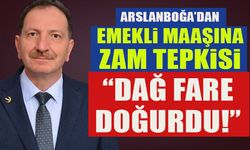 ARSLANBOĞA’DAN EMEKLİ MAAŞINA ZAM TEPKİSİ  “DAĞ FARE DOĞURDU!”