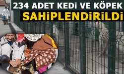 234 KEDİ VE KÖPEK SAHİPLENDİRİLDİ