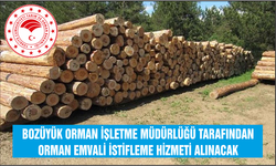 BOZÜYÜK ORMAN İŞLETME MÜDÜRLÜĞÜ MURATDERE, DODURGA VE PAZARYERİ ORMAN DEPOLARINDA ORMAN EMVALİ İSTİFLEME