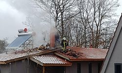 BİLECİK'TEKİ AT ÇİFTLİĞİNDE ÇIKAN YANGIN BÜYÜMEDEN SÖNDÜRÜLDÜ