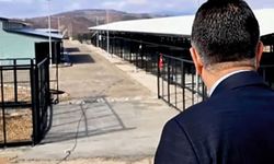 Bölgesel hayvan barınağı yakın zamanda hizmete başlayacak