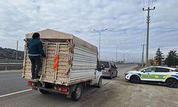 HAYVAN HAREKETLERİ YOL KONTROLLERİ