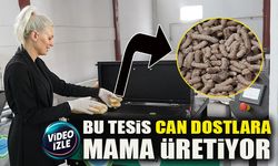 BU TESİS CAN DOSTLARA MAMA ÜRETİYOR