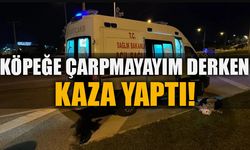 KÖPEĞE ÇARPMAYAYIM DERKEN KAZA YAPTI!