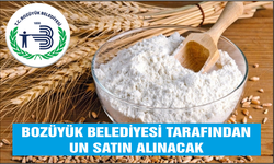 UN SATIN ALINACAKTIR BOZÜYÜK BELEDİYESİ