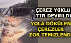 ÇEREZ YÜKLÜ TIR DEVRİLDİ