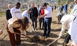 Üniversite öğrencileriyle birlikte fidan dikti