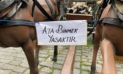 "ATA BİNMEK YASAKTIR" UYARISI DİKKAT ÇEKİYOR