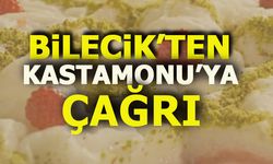 BİLECİK'TEN KASTAMONU'YA ÇAĞRI