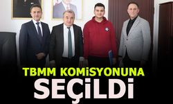 BİLECİKLİ ÖĞRENCİ TBMM’DE KOMİSYONUNDA