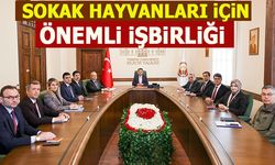 VALİ AYGÖL BAŞKANLIĞINDA TOPLANDILAR SOKAK HAYVANLARI İÇİN İŞBİRLİĞİ