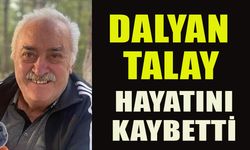 DALYAN TALAY HAYATINI KAYBETTİ