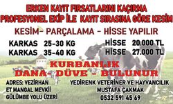 YEDİRENK VETERİNER VE HAYVANCILIK