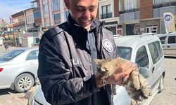 ARACIN MOTORUNA GİREN YAVRU KEDİYİ POLİS KURTARDI