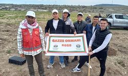"GAZZE ORMANI" KURULDU