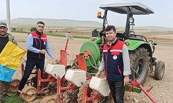 AYÇİÇEĞİ EKİMLERİNİ YERİNDE TAKİP EDİLİYOR