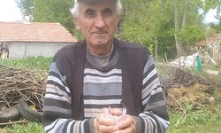 BULDUĞU BİR TOMAR PARAYI JANDARMAYA TESLİM ETTİ