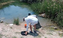 TARİHİ HAMAM KALINTILARI ARASINDAKİ SÜS BALIKLARINI KAÇAK AVLAYANLARA SUÇ ÜSTÜ