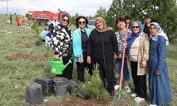 Bin fidan toprakla buluştu, sanayi ile doğa el ele