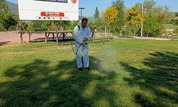 Bahar aylarıyla birlikte ilaçlama çalışmalarını başlattı