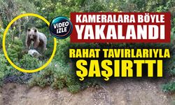 KAMERALARA BÖYLE YAKALANDI RAHAT TAVIRLARIYLA ŞAŞIRTTI
