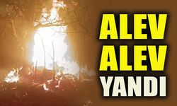 ALEV ALEV YANDI
