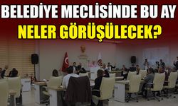BELEDİYE MECLİSİNDE BU AY NELER GÖRÜŞÜLECEK