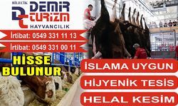 DEMİR TURİZM