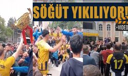 SÖĞÜT YIKILIYOR