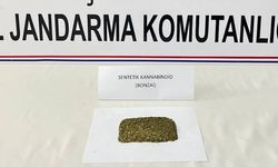 İLÇEYE UYUŞTURUCU TAŞIYAN 2 ŞÜPHELİ YAKALANDI