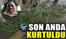 SON ANDA KURTULDU