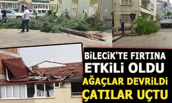 BİLECİK'TE FIRTINA ETKİLİ OLDU
