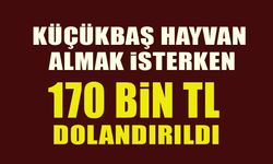 KÜÇÜKBAŞ HAYVAN ALMAK İSTERKEN 170 BİN TL DOLANDIRILDI