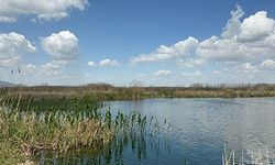 Eber Gölü'nde azalan su seviyesi endişe verici boyutlara geldi