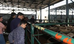 PAZARLIKLAR KIZIŞTI, KİMİSİ "ÇOK UYGUN", KİMİSİ "KURU KALABALIK" DEDİ