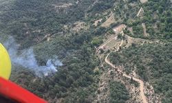 ORMAN YANGININDA 8 DEKAR ALAN ZARAR GÖRDÜ