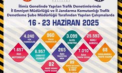 265 ARAÇ TRAFİKTEN MEN EDİLDİ