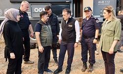 Vali Sözer, yangın bölgesinde inceleme yaptı
