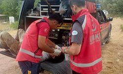 ESKİŞEHİR'DEN 2 UMKE ARACI VE 10 PERSONEL BİLECİK YANGININA DESTEĞE GİTTİ
