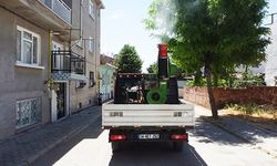 BELEDİYE EKİPLERİ HAŞERELERE KARŞI SAHADA