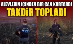 ALEVLERİN İÇİNDEN BİR CAN KURTARDI, TAKDİR TOPLADI