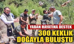 YABAN HAYATINA DESTEK  300 KEKLİK DOĞAYLA BULUŞTU