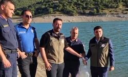 GÖLET VE SULAK ALANLARA 10 BİN SAZAN BALIĞI YAVRUSU BIRAKILDI