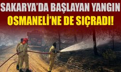 SAKARYA'DA BAŞLAYAN YANGIN OSMANELİ'NE DE SIÇRADI