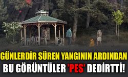 GÜNLERDİR SÜREN YANGININ ARDINDAN BU GÖRÜNTÜLER 'PES' DEDİRTTİ